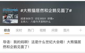 爆料热点话题视频,爆料热点话题背后的真相  第3张