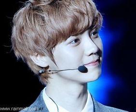 鹿晗爆料韩国人视频在线观看,韩国人真实生活片段曝光,网友直呼震撼 第2张 鹿晗爆料韩国人视频在线观看,韩国人真实生活片段曝光,网友直呼震撼 第2张