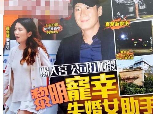 网神阿战爆料视频大全集,揭秘网络幕后真相