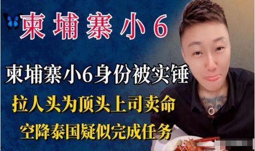 柬埔寨小六爆料视频,揭秘真实生活幕后  第3张